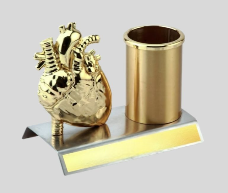 DK – BTC 4340 Anatomical Heart Pen Stand - Executive Desk Organizer 1454