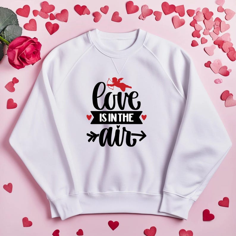 Love Is In The Air Couple Long Sleeve T-Shirts
