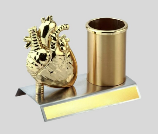 DK –   BTC 4340 Anatomical Heart Pen Stand - Executive Desk Organizer 1454