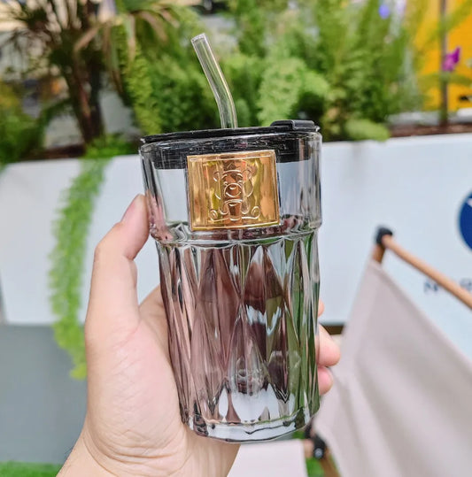 DK – Eco-Friendly Glass Sipper Tumbler - Reusable Coffee & Juice Mug with Straw for Healthy Hydration